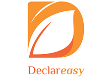 declareasy logo.png